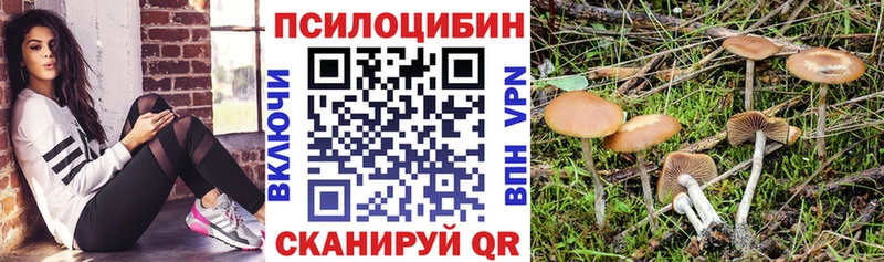 продажа наркотиков  Зеленогорск  mega ONION  Псилоцибиновые грибы Magic Shrooms 
